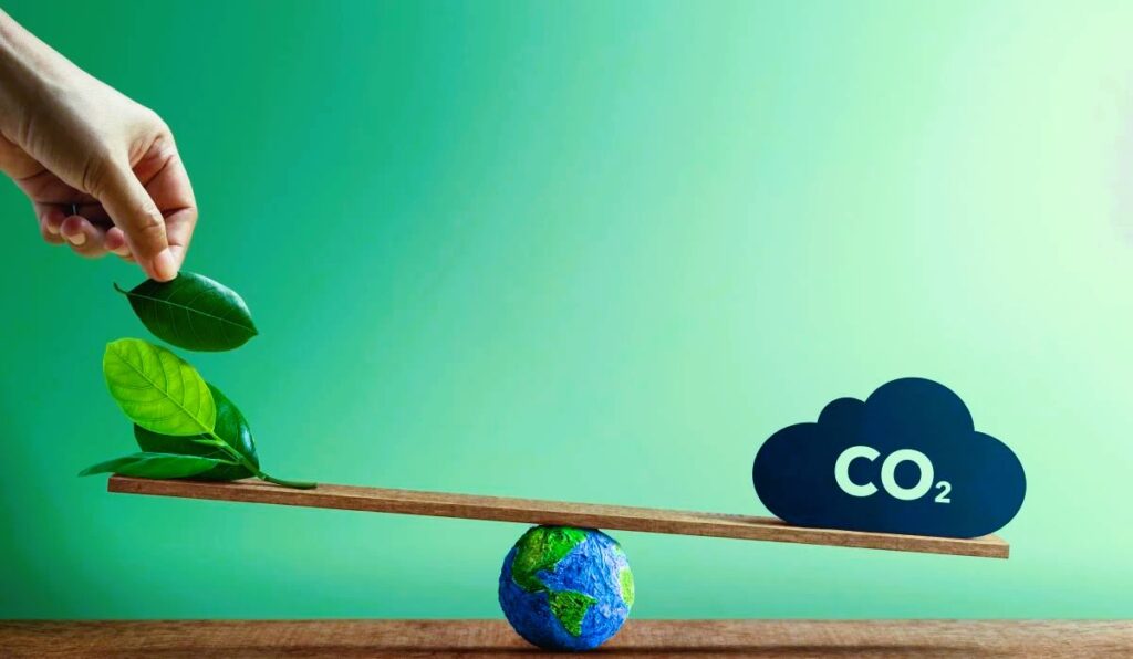 7 Ways to Reduce the Carbon Footprint of Your Marketing