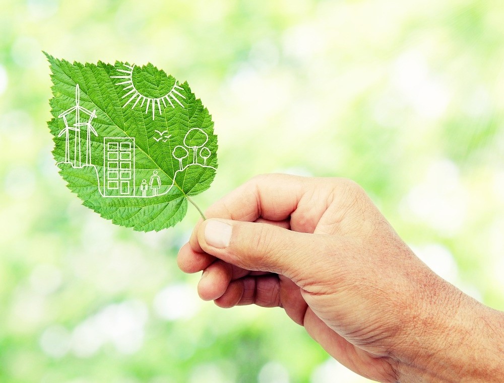 Green Energy Options for Homeowners in Canada